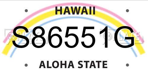 S86551G Hawaii License Plate