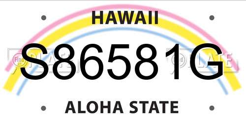 S86581G Hawaii License Plate