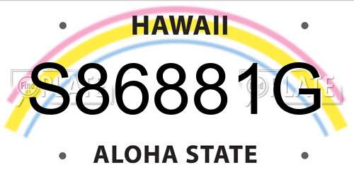 S86881G Hawaii License Plate