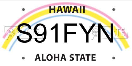 S91FYN Hawaii License Plate