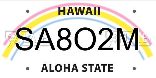 SA8O2M Hawaii License Plate