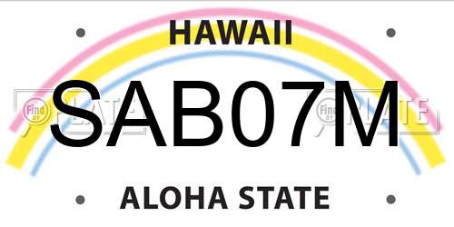 SAB07M Hawaii License Plate