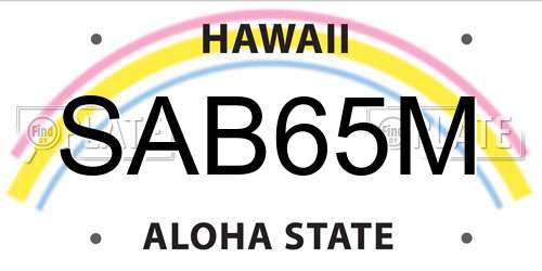 SAB65M Hawaii License Plate