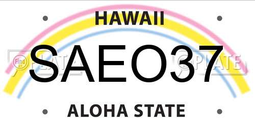 SAEO37 Hawaii License Plate