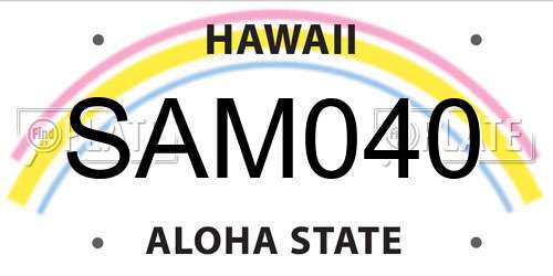 SAM040 Hawaii License Plate
