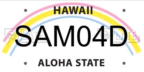 SAM04D Hawaii License Plate