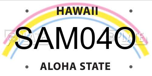 SAM04O Hawaii License Plate