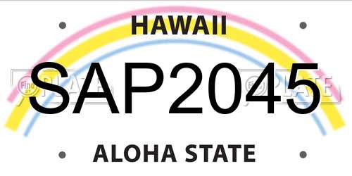 SAP2045 Hawaii License Plate