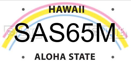 SAS65M Hawaii License Plate