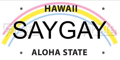 SAYGAY Hawaii License Plate