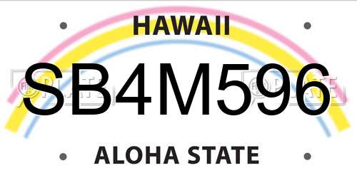 SB4M596 Hawaii License Plate