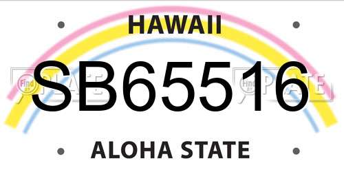 SB65516 Hawaii License Plate