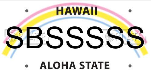 SBSSSSS Hawaii License Plate