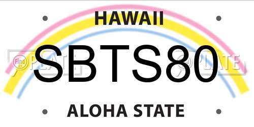 SBTS80 Hawaii License Plate