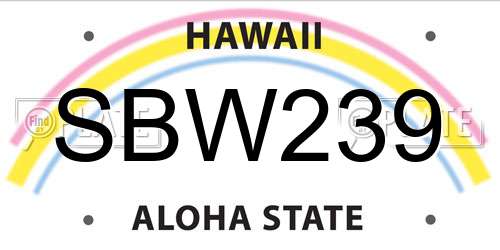 SBW239 Hawaii License Plate