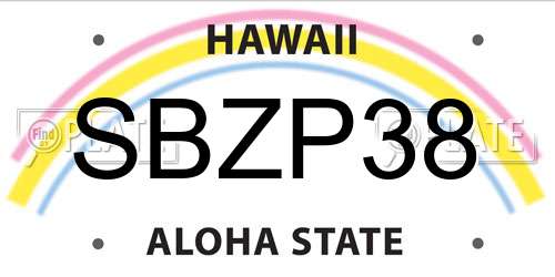 SBZP38 Hawaii License Plate