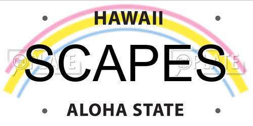 SCAPES Hawaii License Plate