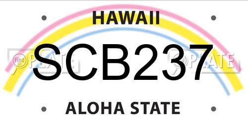 SCB237 Hawaii License Plate