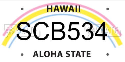 SCB534 Hawaii License Plate
