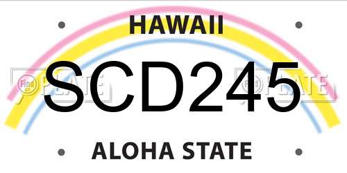 SCD245 Hawaii License Plate