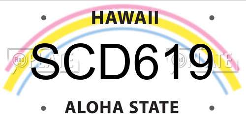 SCD619 Hawaii License Plate