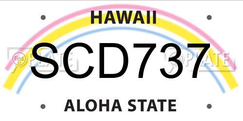 SCD737 Hawaii License Plate