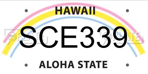 SCE339 Hawaii License Plate