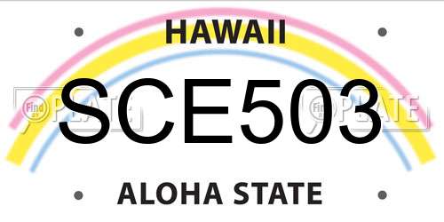 SCE503 Hawaii License Plate