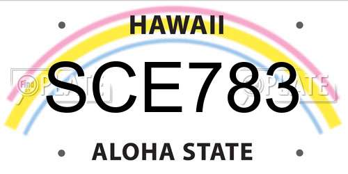 SCE783 Hawaii License Plate