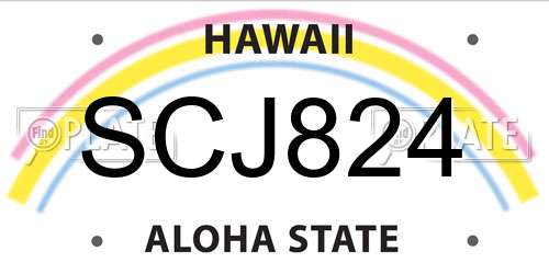 SCJ824 Hawaii License Plate