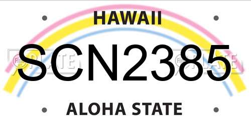 SCN2385 Hawaii License Plate