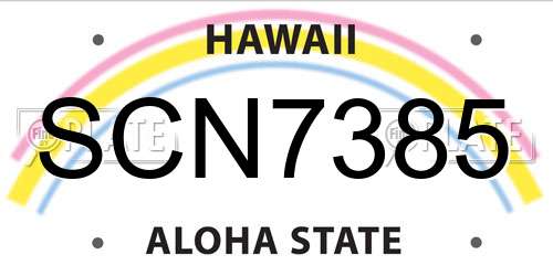 SCN7385 Hawaii License Plate