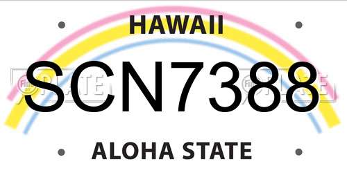 SCN7388 Hawaii License Plate