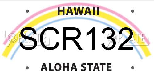 SCR132 Hawaii License Plate