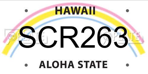 SCR263 Hawaii License Plate