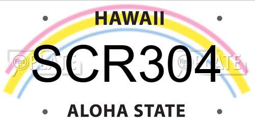 SCR304 Hawaii License Plate