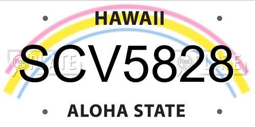 SCV5828 Hawaii License Plate