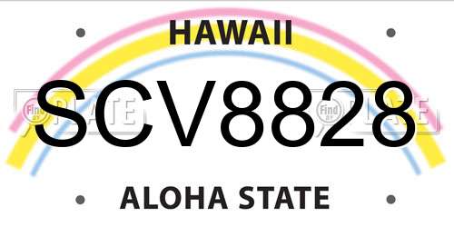 SCV8828 Hawaii License Plate
