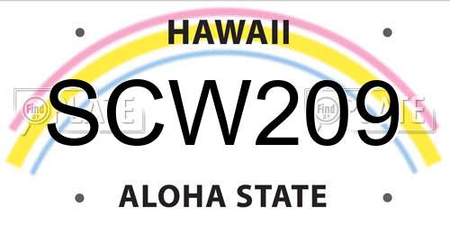SCW209 Hawaii License Plate