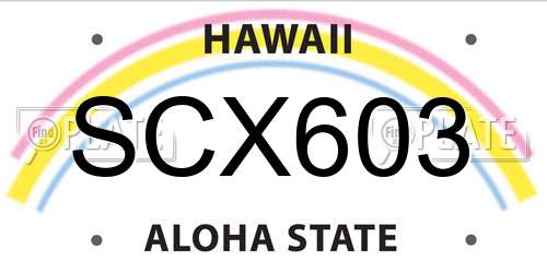SCX603 Hawaii License Plate