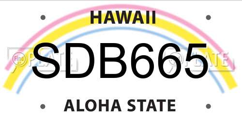 SDB665 Hawaii License Plate