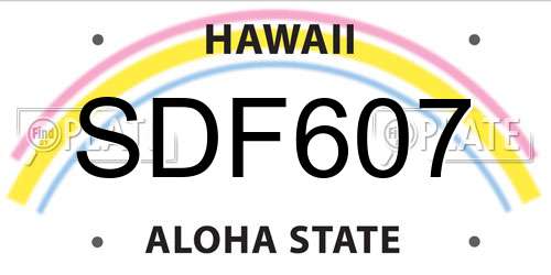 SDF607 Hawaii License Plate