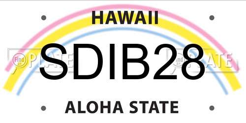 SDIB28 Hawaii License Plate