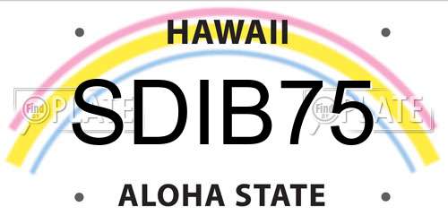 SDIB75 Hawaii License Plate