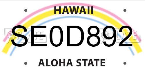 SE0D892 Hawaii License Plate