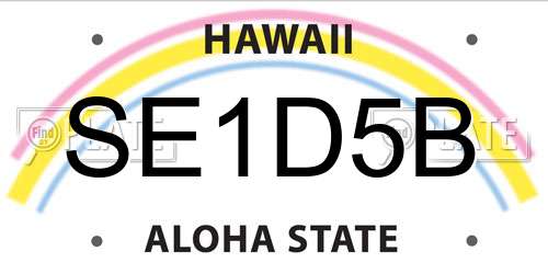 SE1D5B Hawaii License Plate