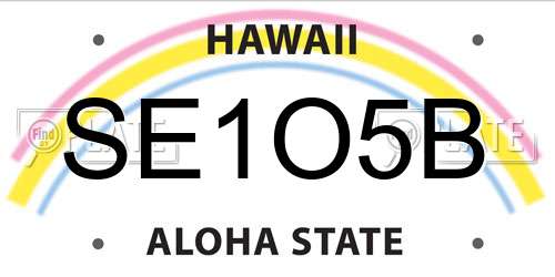 SE1O5B Hawaii License Plate