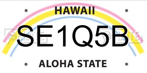 SE1Q5B Hawaii License Plate