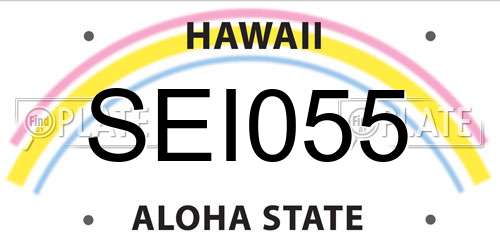 SEI055 Hawaii License Plate
