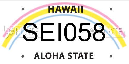 SEI058 Hawaii License Plate